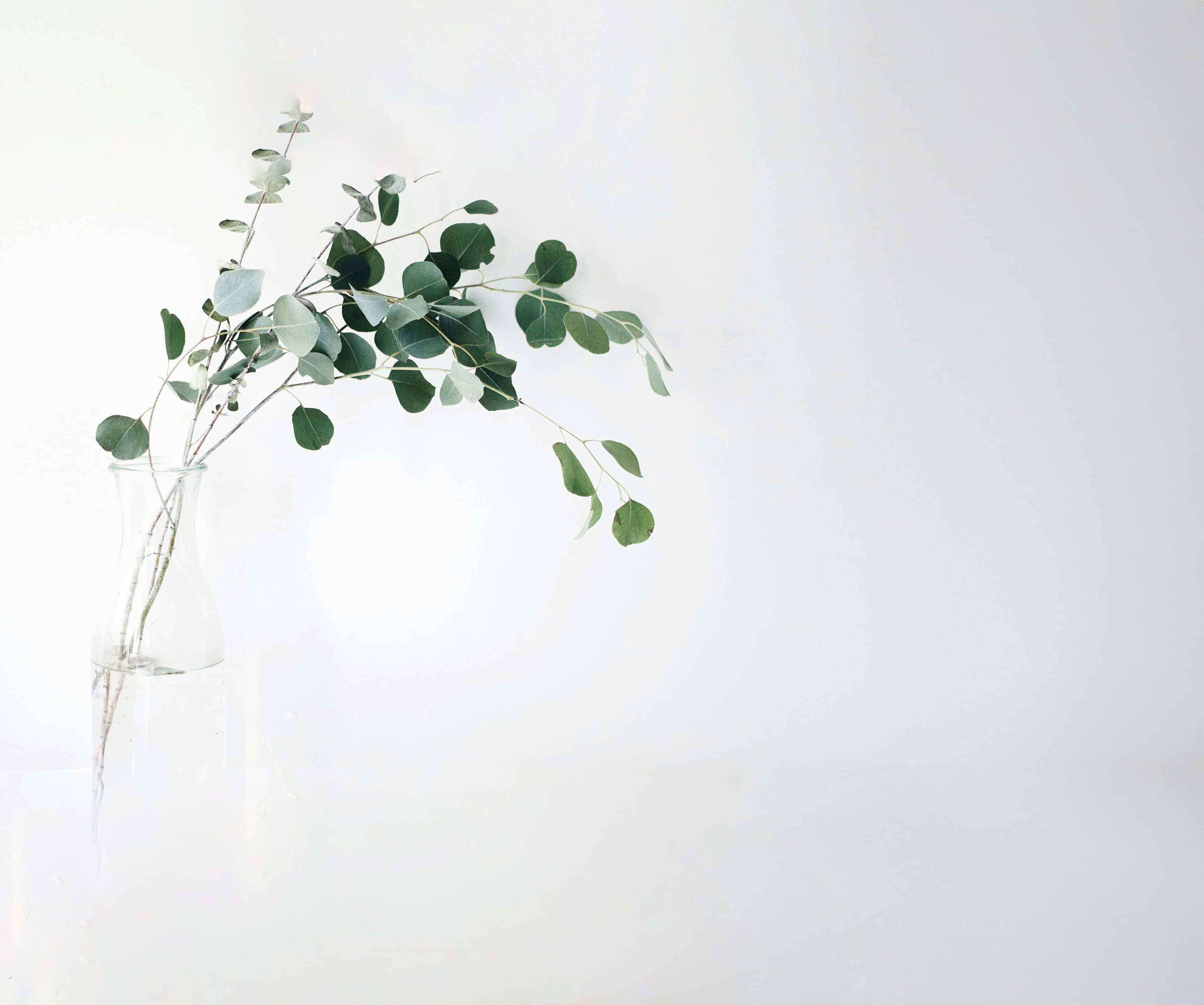 えん訪問介護｜千葉県船橋市の訪問介護 背景画像